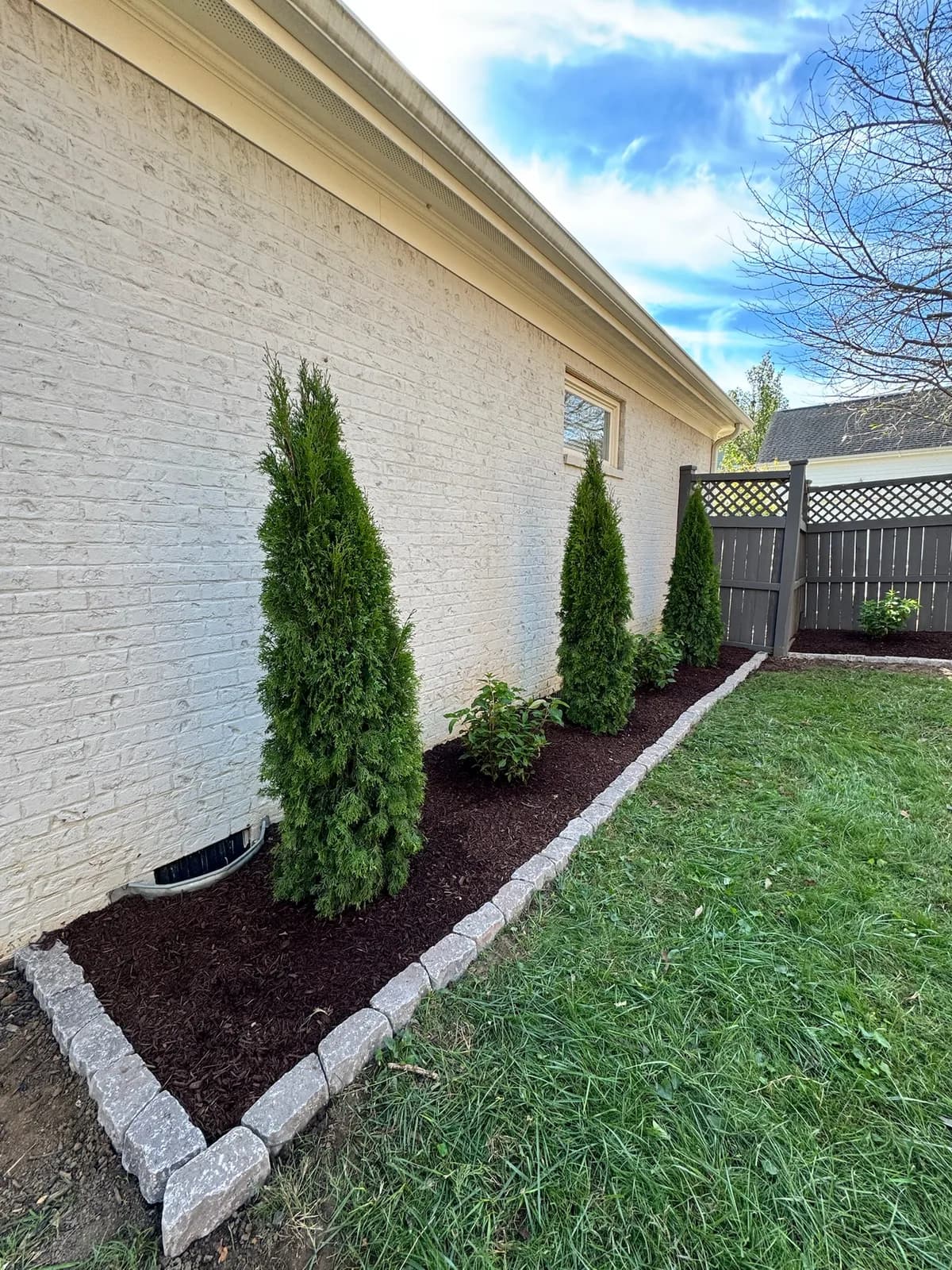 Arborvitae screening bed with granite cobble edging
