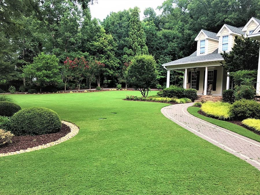 Wide maintained lawn with curved bed edges, clipped boxwoods, and a paver walkway