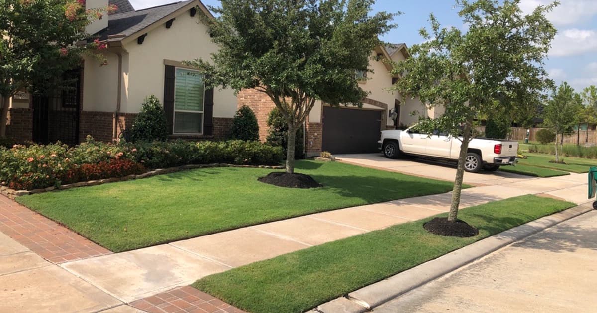 Front lawn mown and edged around trees, beds, and the driveway apron