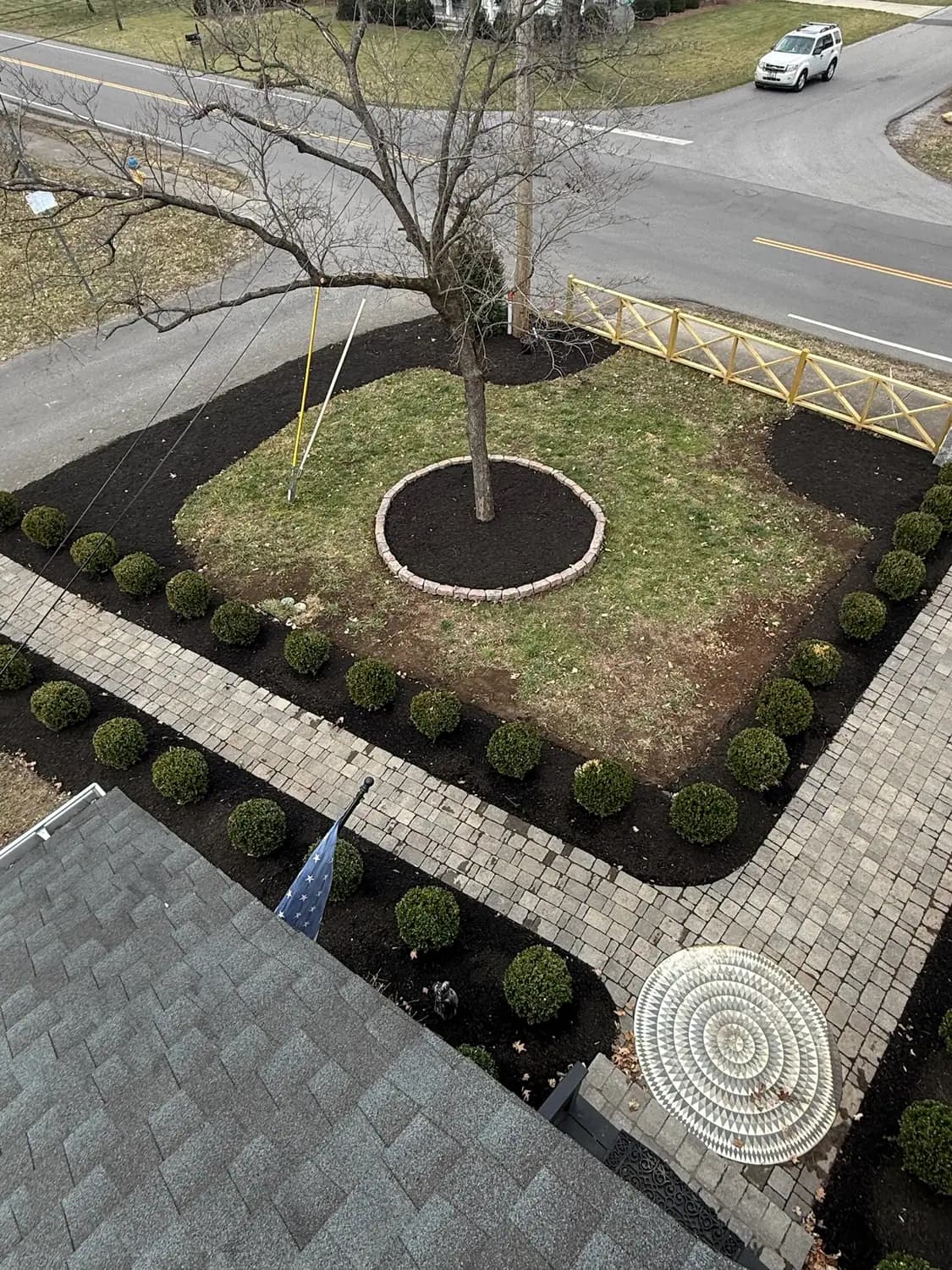Front landscape with paver walkway, tree ring, and boxwood border
