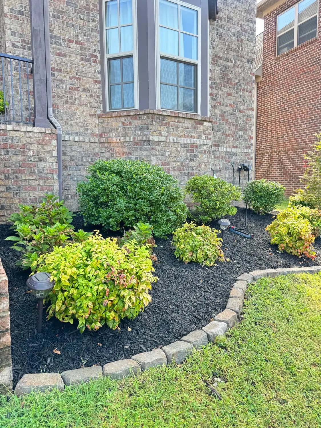 Curved foundation bed with cobblestone edging and shrubs