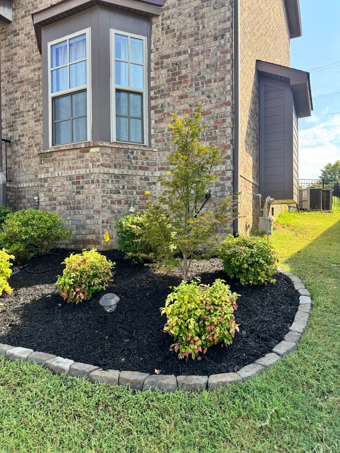 Foundation bed with cobble edging and mixed shrubs