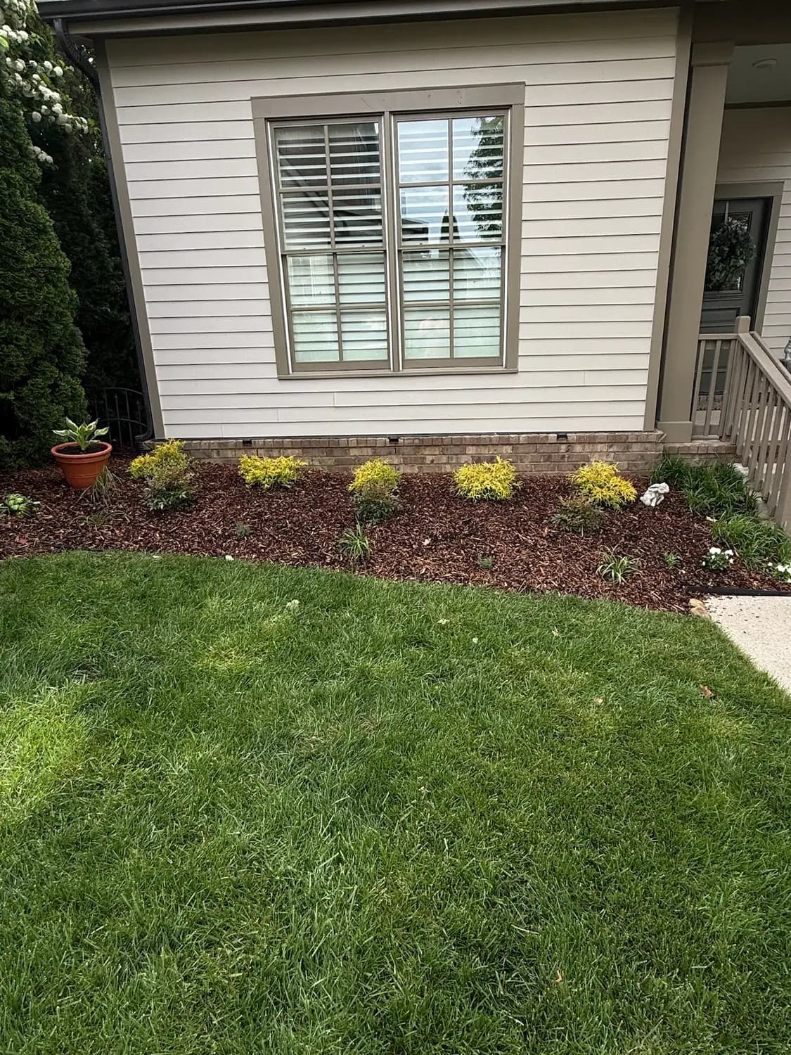 Foundation planting bed with layered shrubs and fresh mulch