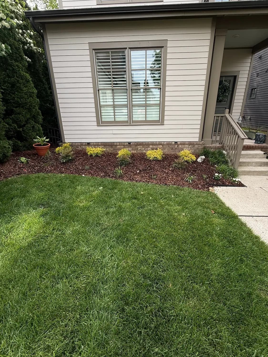 Front foundation planting bed with new sod