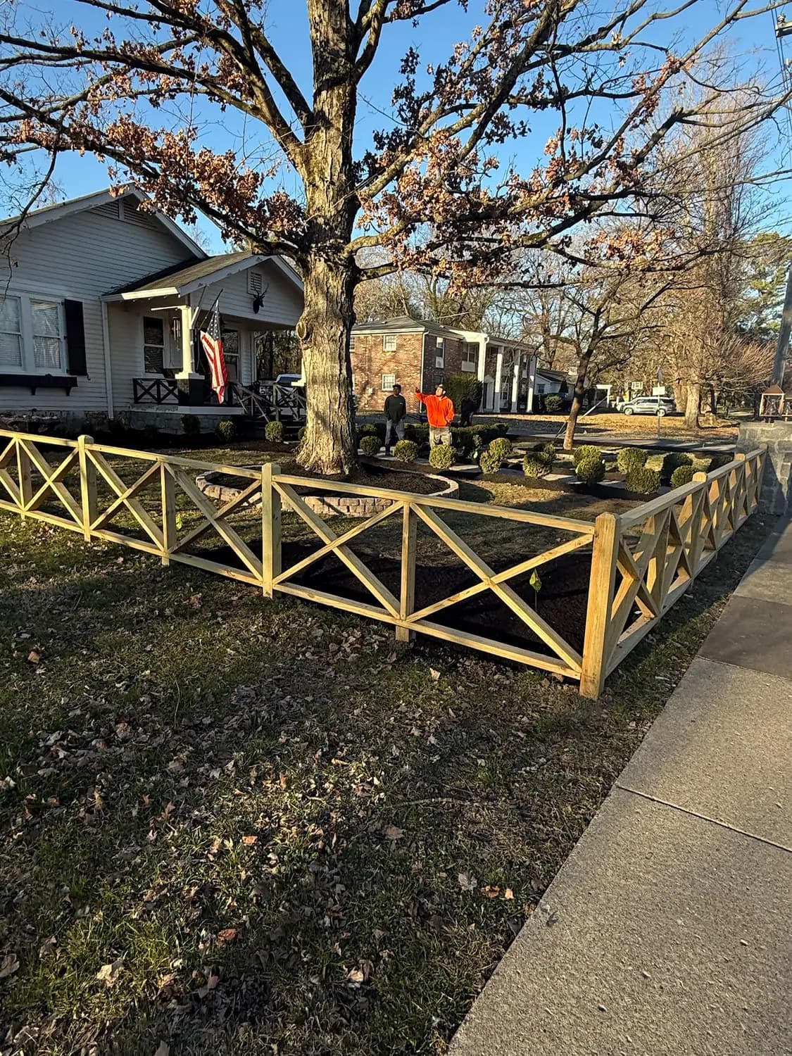 Front yard tree ring with a clipped boxwood border