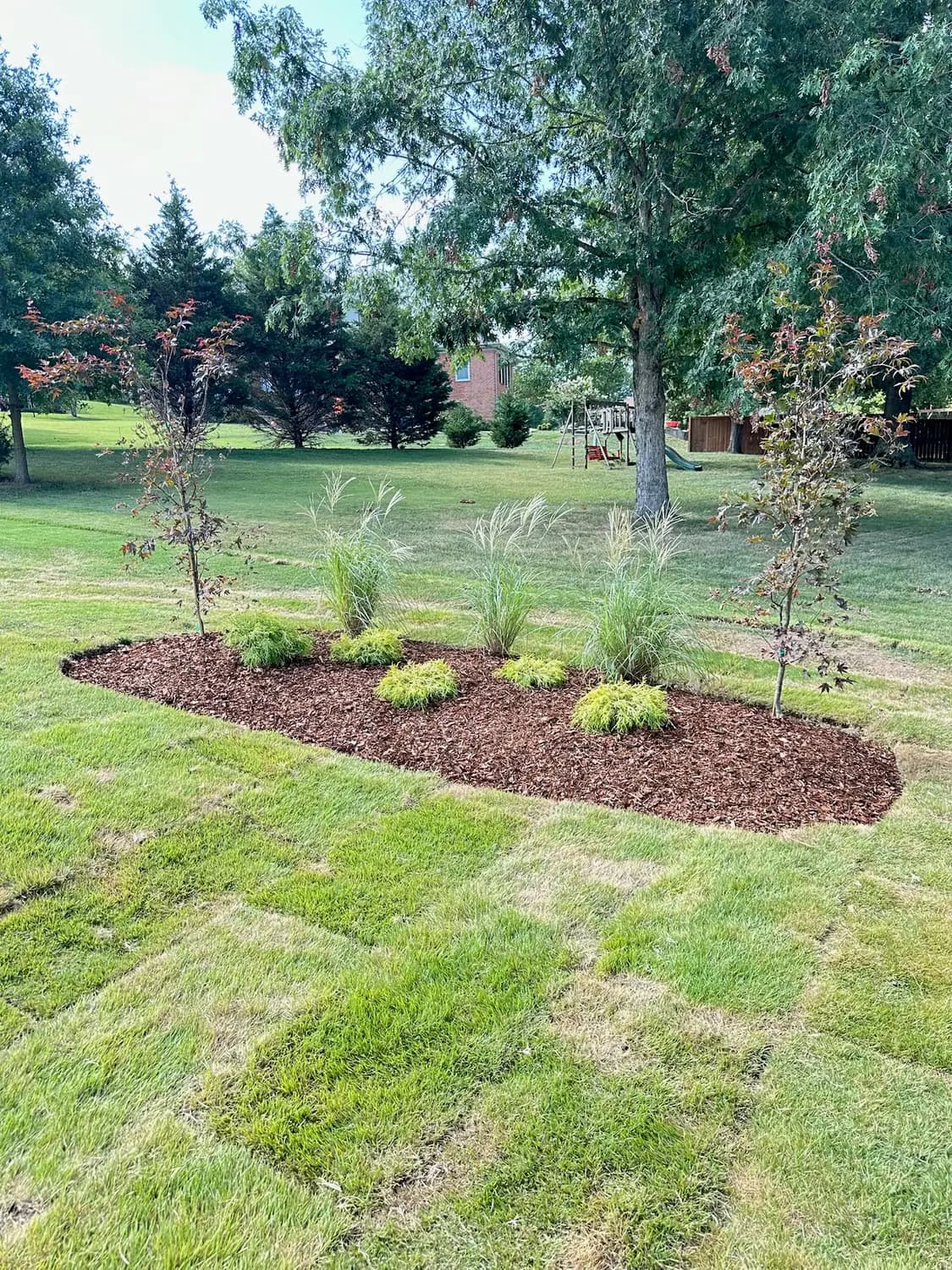 Freshly mulched island bed with ornamental grasses
