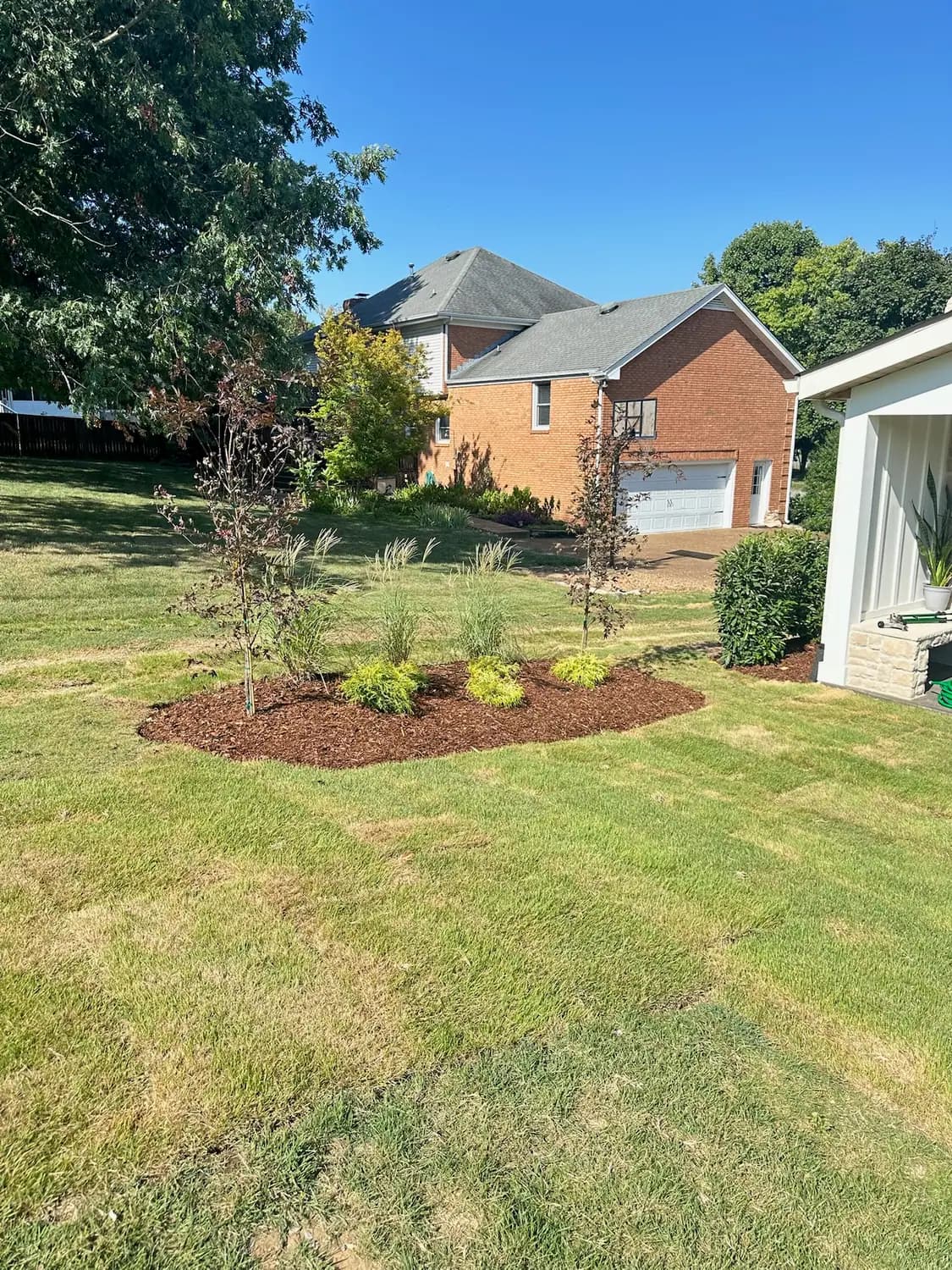 New island planting bed set into a freshly sodded lawn