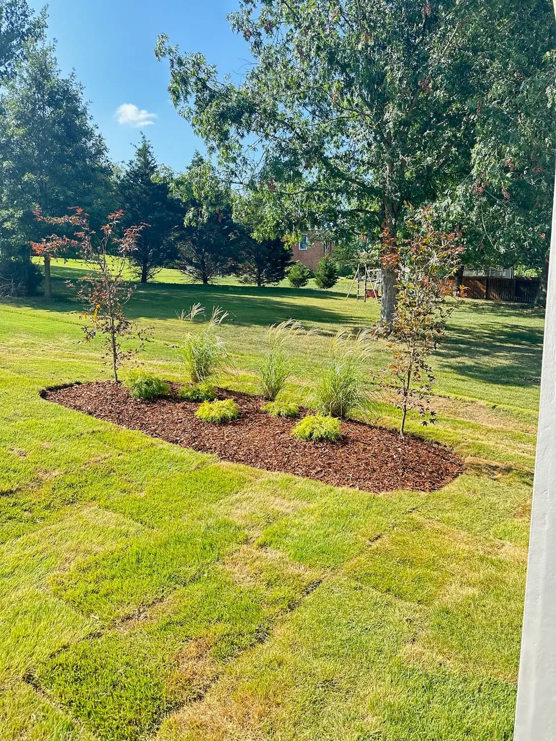Island planting bed with ornamental grasses and young maples
