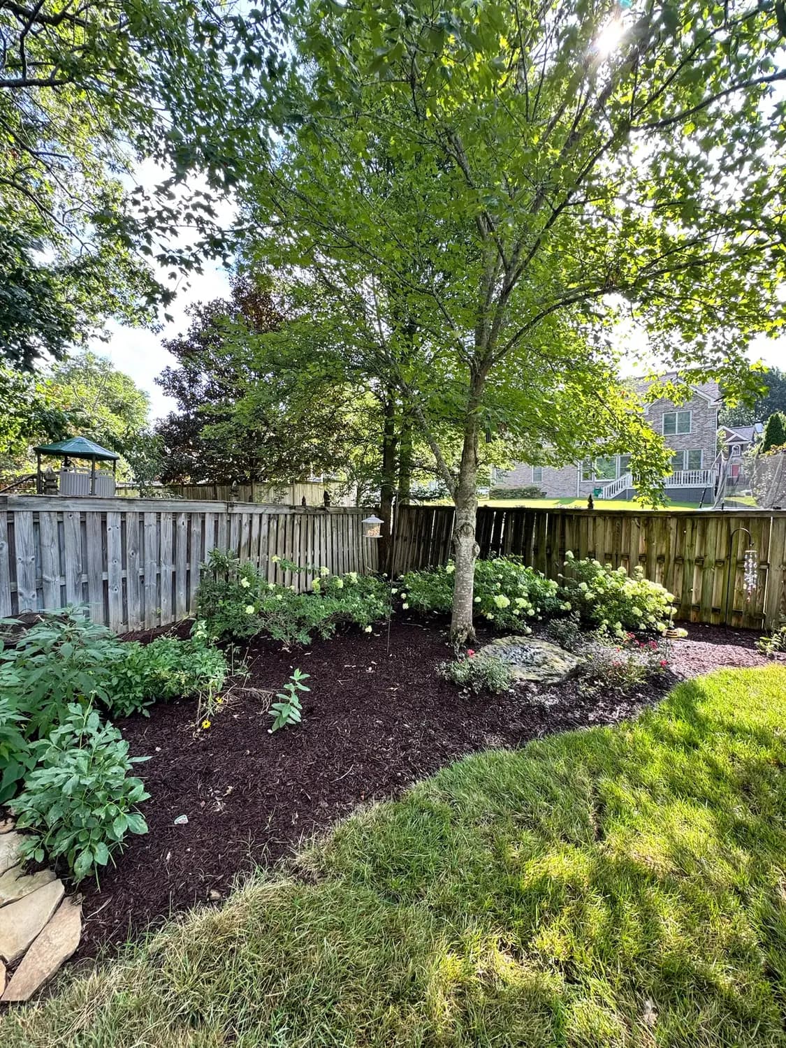 Shade garden bed with hydrangeas and fresh mulch