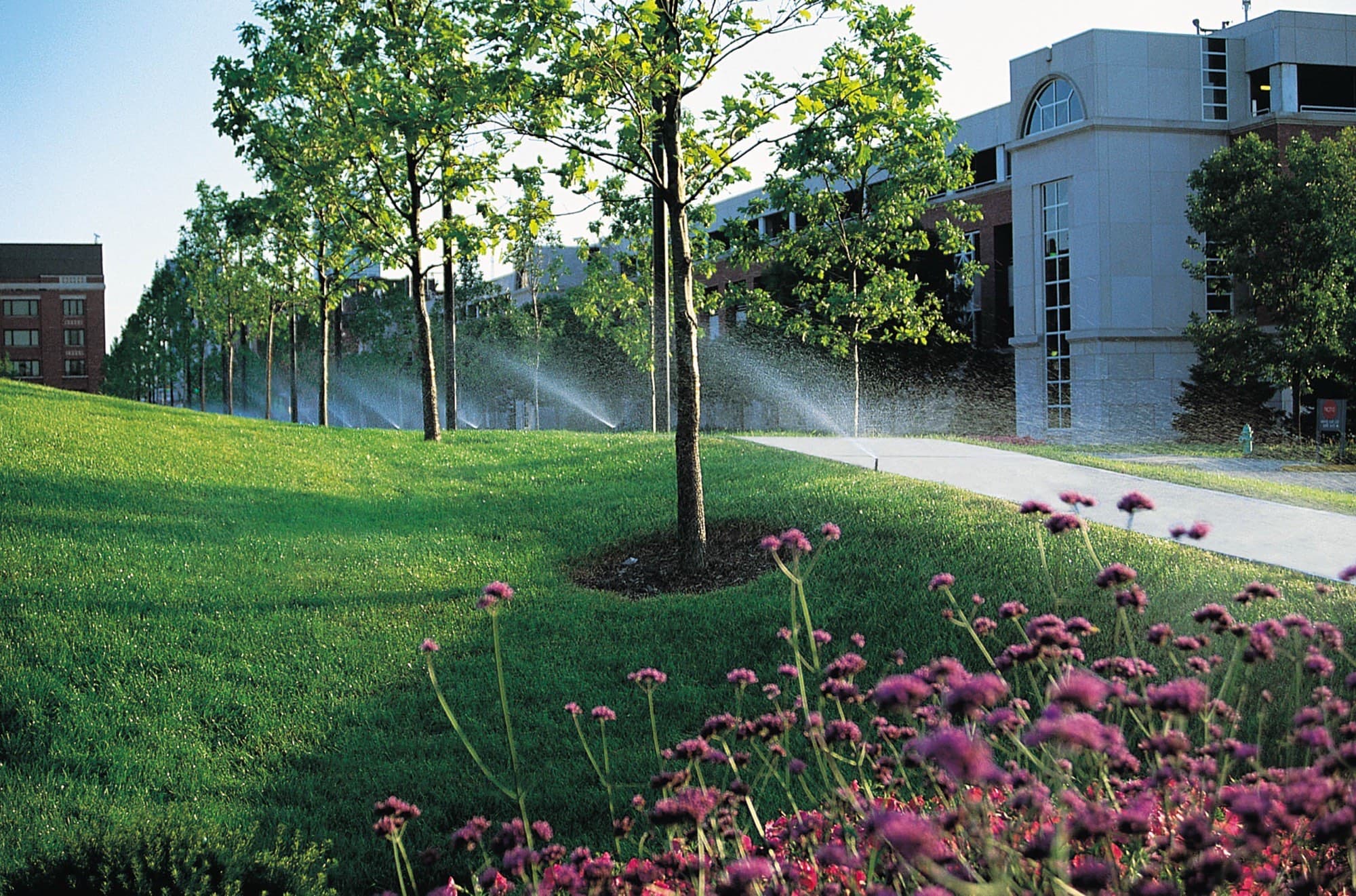 Commercial Irrigation in Dallas-Fort Worth